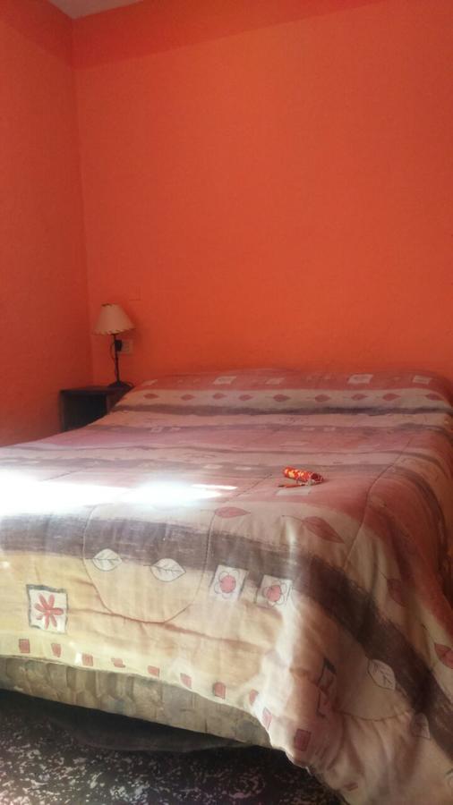 Hostel Internacional Мендоса Экстерьер фото